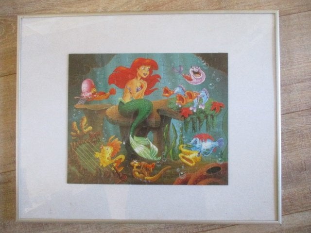 adv10166 kleine zeemeermin schilderij, Ophalen, Pocahontas of Kl. Zeemeermin, Gebruikt, Overige typen