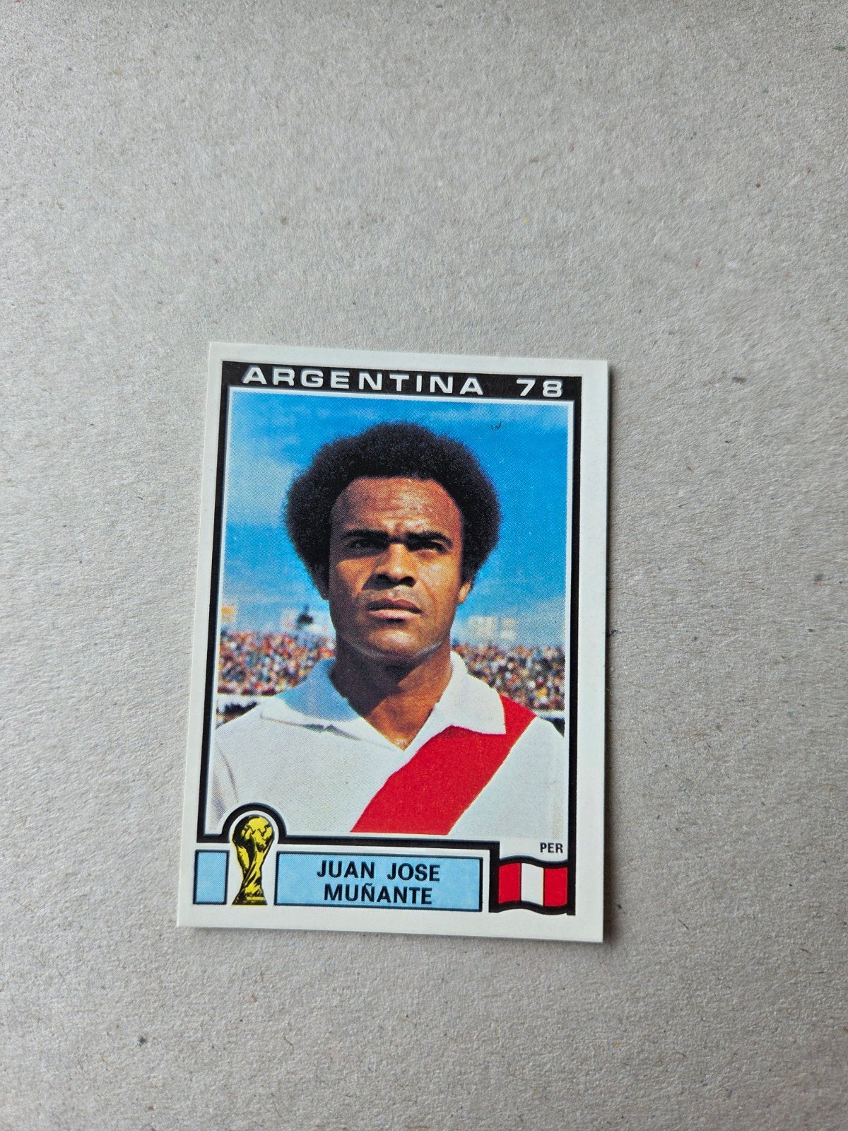 Panini WK 78, Ophalen of Verzenden, Zo goed als nieuw, Sticker