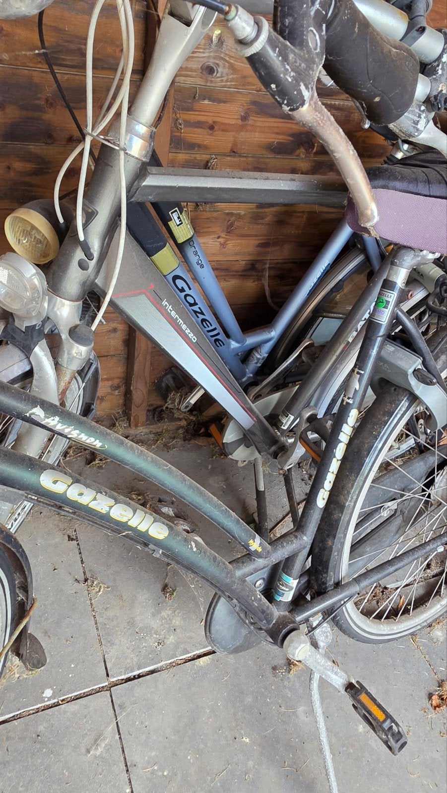 Oude Gazelle fietsen - opknappers, Fietsen en Brommers, Fietsen | Dames | Damesfietsen, Ophalen, Velgrem, Versnellingen, Gazelle