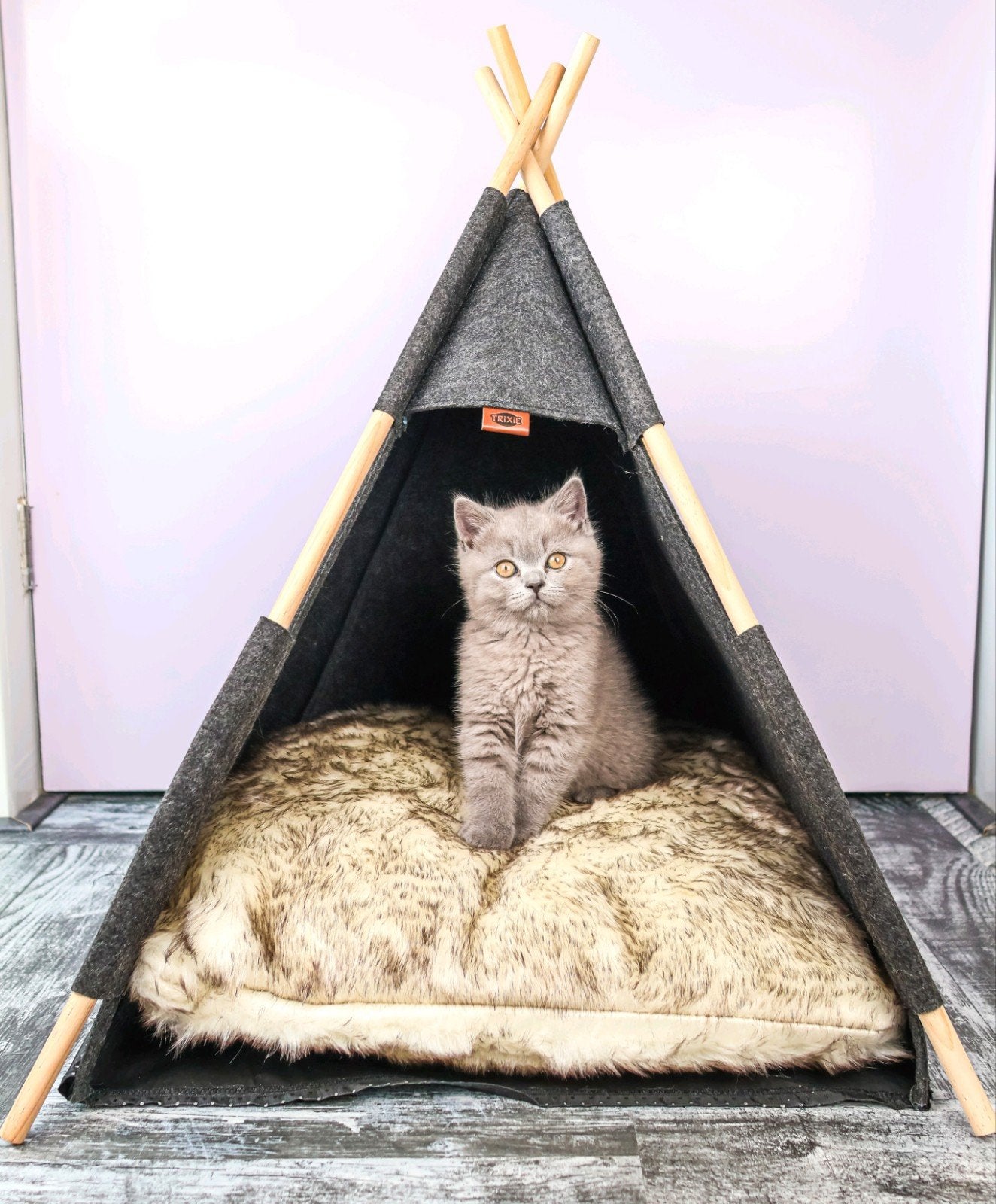 Trixie Tipi Kattenmand, Ophalen, Nieuw