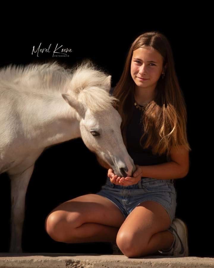 Verzorg/lease paard gezocht, Dieren en Toebehoren, Ophalen