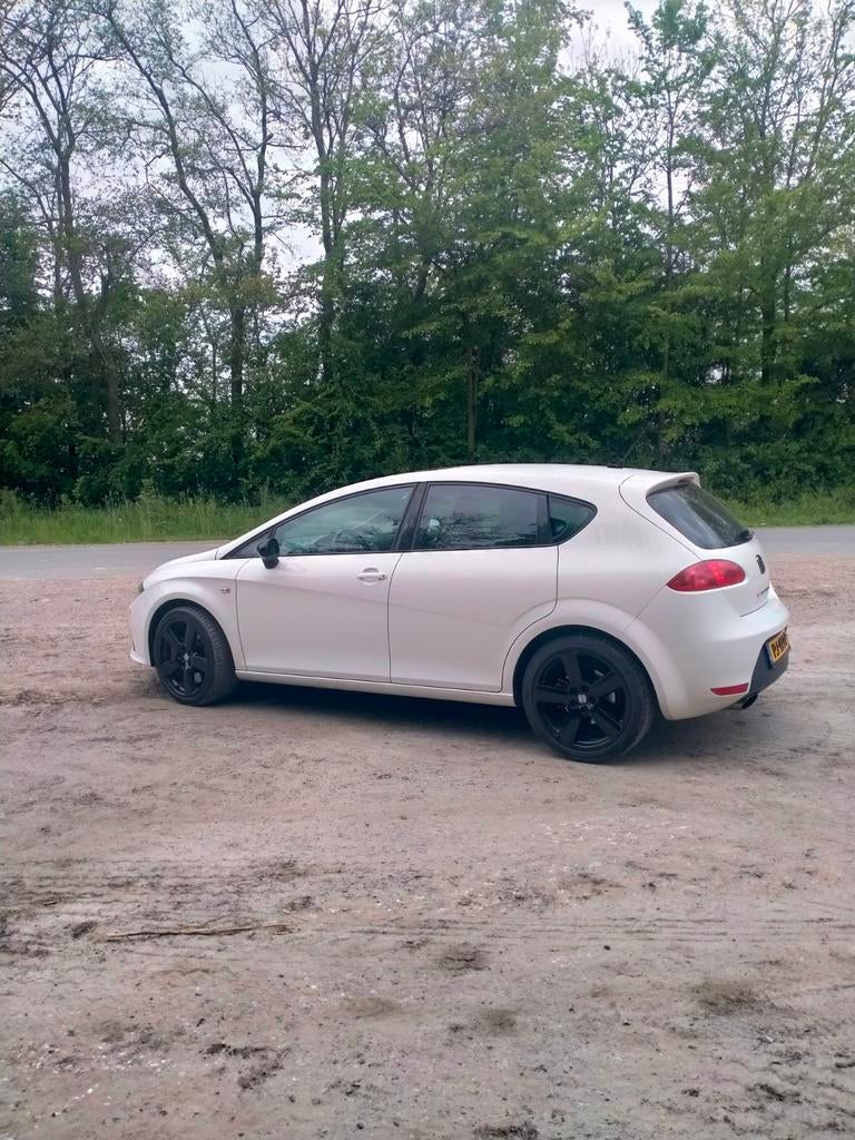 Seat Leon CUPRA 2008 Wit, Auto's, Voorwielaandrijving, Stof, Zwart, 1984 cc