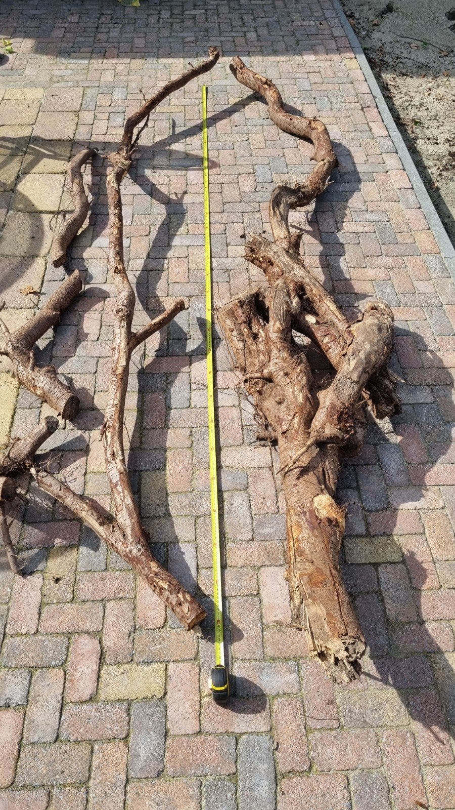 Enorme stukken wortelhout, Ophalen, Tak, Plant, Rots of Steen