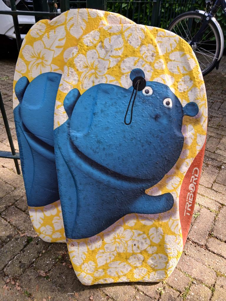 zwemplank/board x 2, Ophalen of Verzenden, Gebruikt