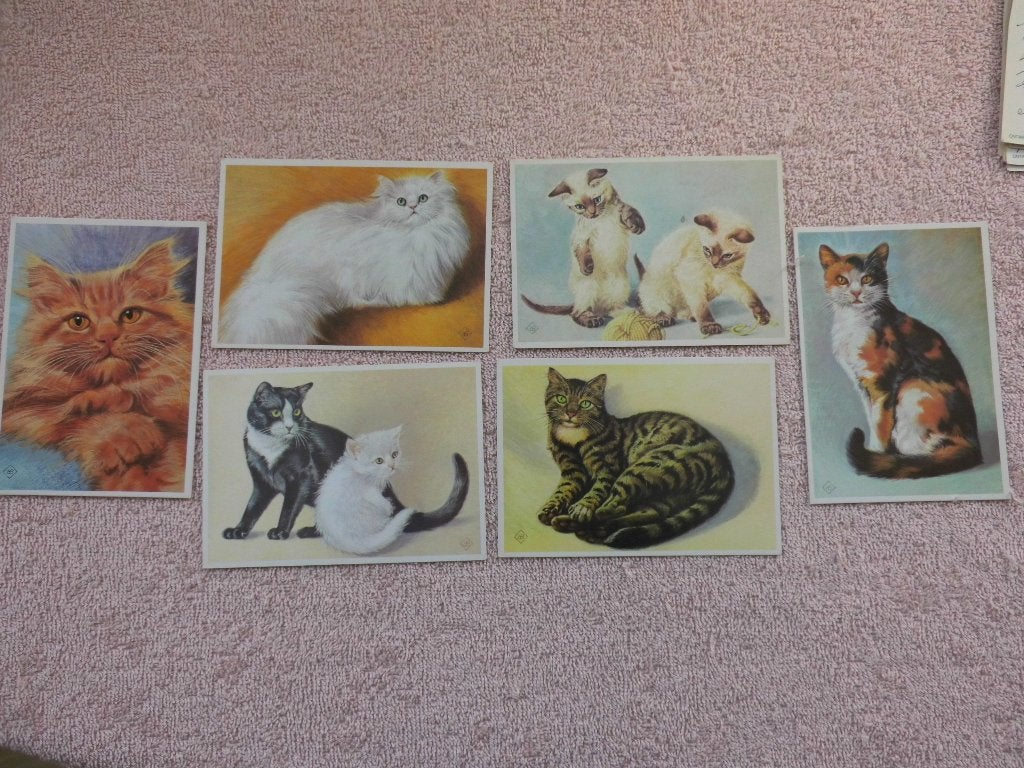 Ko van den Broecke - 6 katten ansichtkaarten, Ophalen of Verzenden, 1960 tot 1980, Ongelopen, Hond of Kat