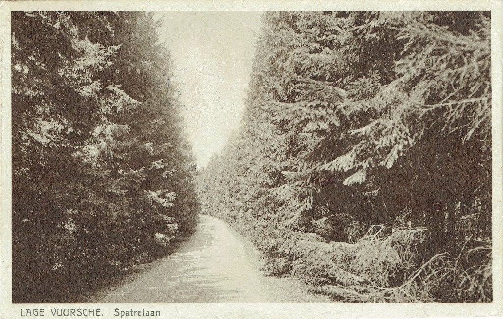 Ansichtkaart Lage Vuursche (Baarn) Sparrelaan, Verzenden, 1920 tot 1940, Gelopen, Utrecht