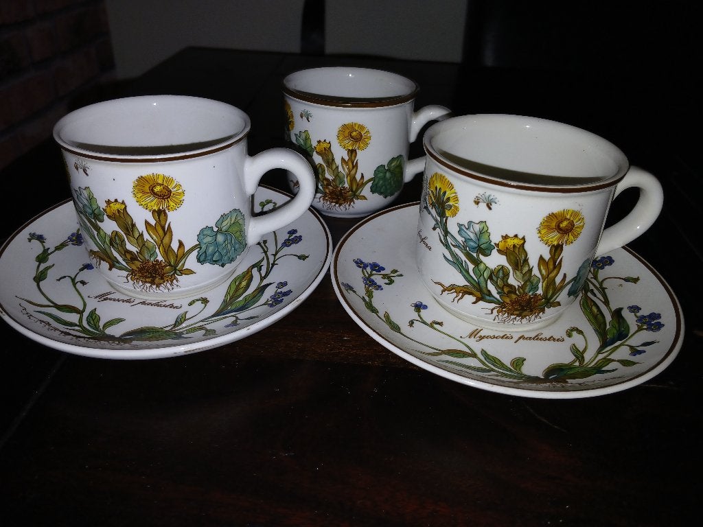 Villeroy en Boch Botanica kop en schotels, Antiek en Kunst, Ophalen of Verzenden