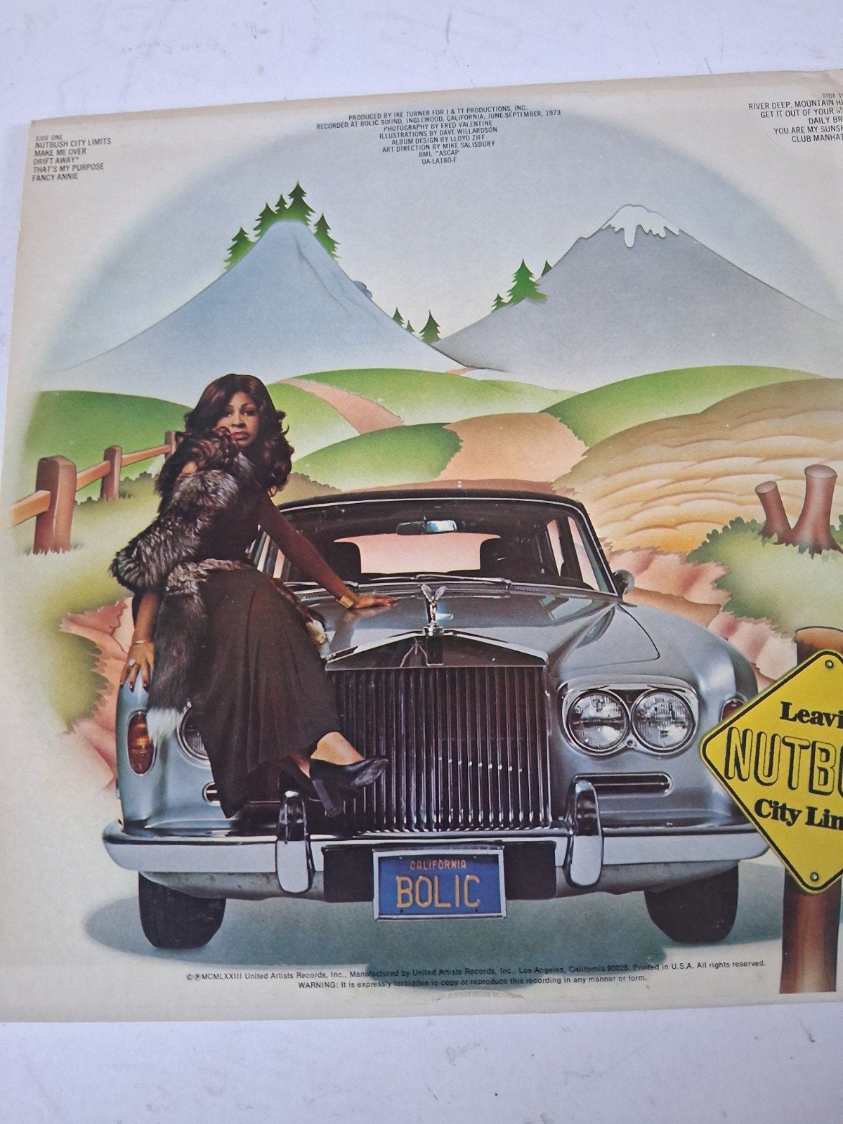 Tina Turner - Nutbush City Limits (LP, 1973), Ophalen of Verzenden, Gebruikt, Pop, Album