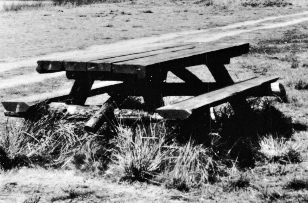 939489 Schoonloo Drenthe jr 60 Postzegel afgeweekt, Ophalen of Verzenden, 1960 tot 1980, Gelopen, Drenthe