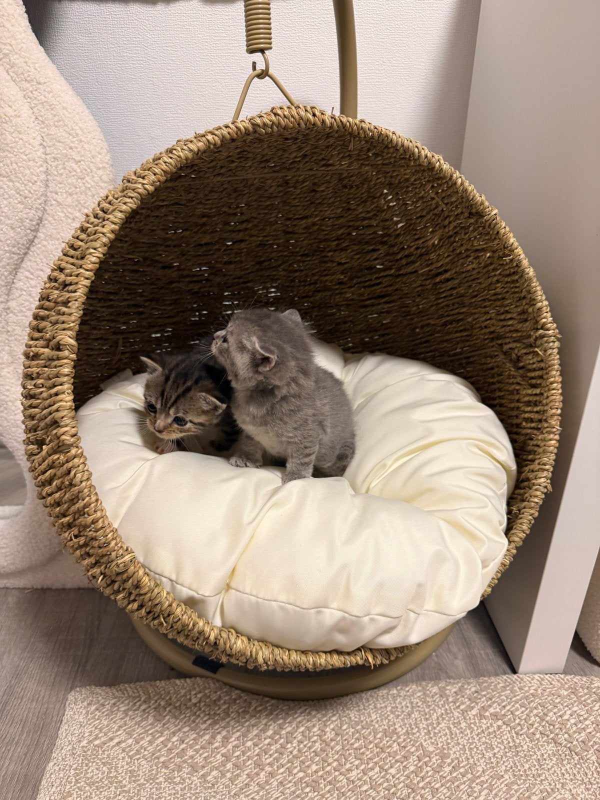 katten stoeltje, Ophalen of Verzenden, Zo goed als nieuw, Overige