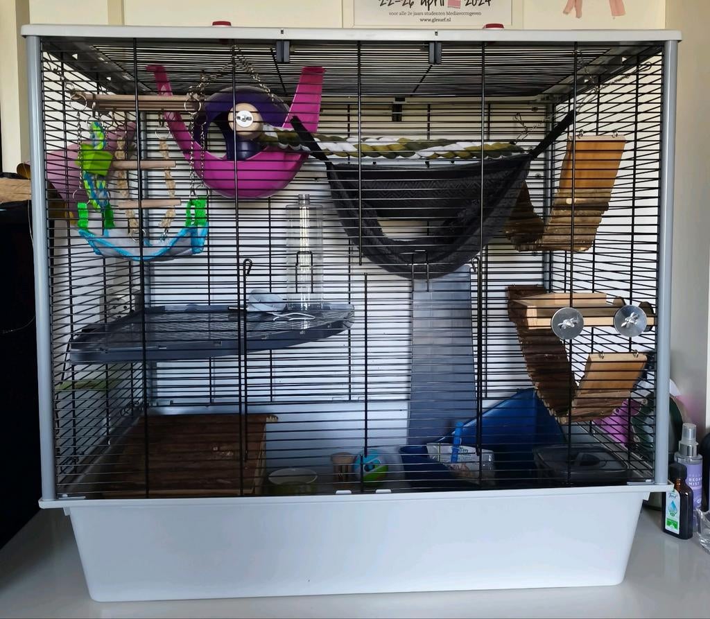 Knaagdieren / ratjes  kooi met veel toebehoren, Kooi, Rat, 60 tot 90 cm, Ophalen of Verzenden