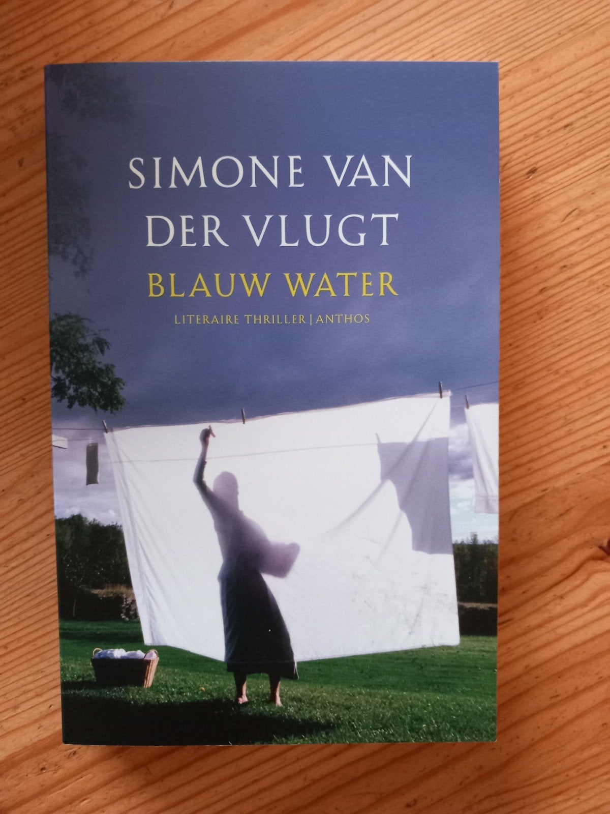 BLAUW WATER van Simone van der Vlugt., Ophalen of Verzenden, Zo goed als nieuw