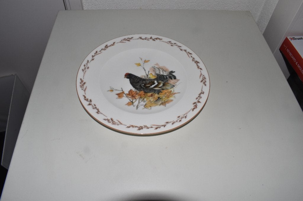 Dinerbord Korhoen Natuurservies Tettau, Info@detagrijn.com, Overige merken, Nieuw, Ophalen of Verzenden