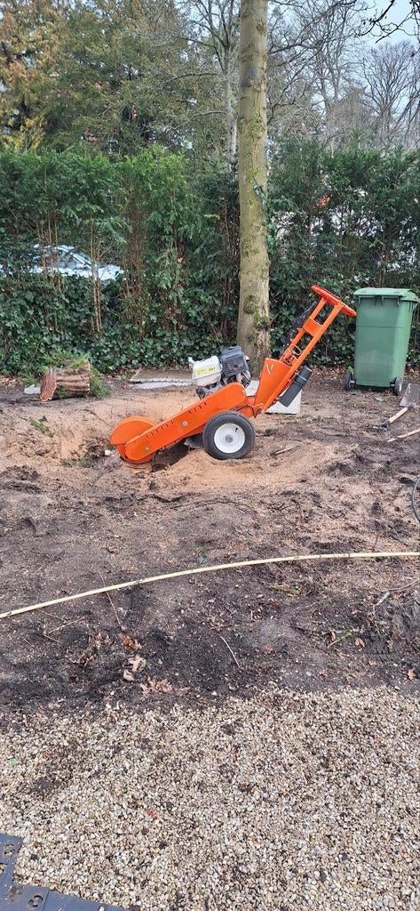 Stronk weg frezen en bomen  verwijderen