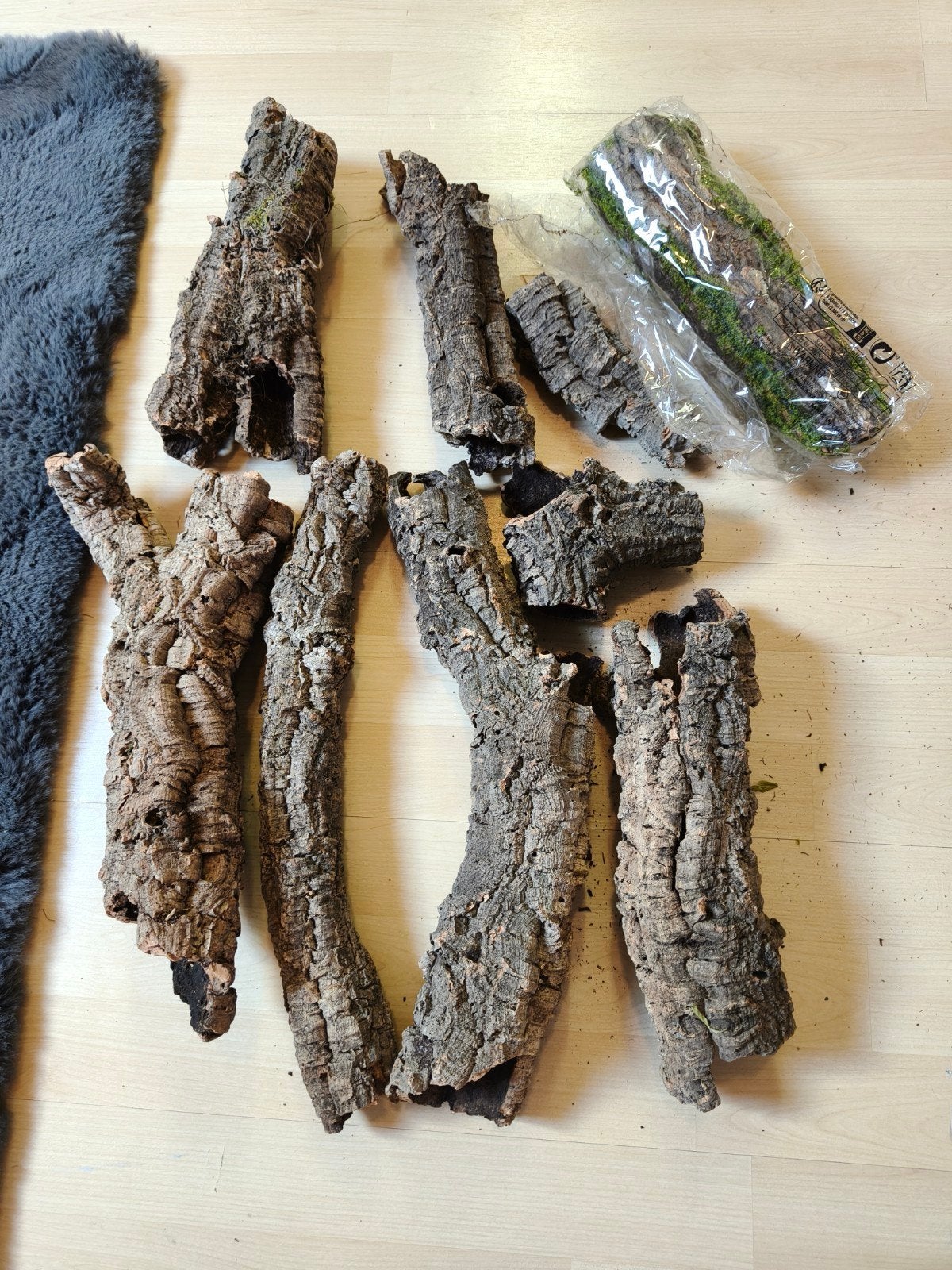 div stukken kurk voor terrarium, Ophalen of Verzenden, Tak, Plant, Rots of Steen