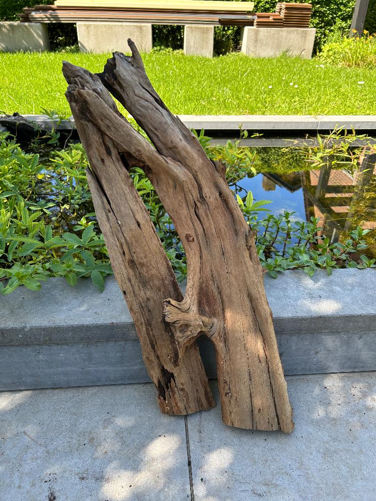 Diverse grote stukken Aquariumhout, Ophalen, Gebruikt, Plant(en), Steen of Hout