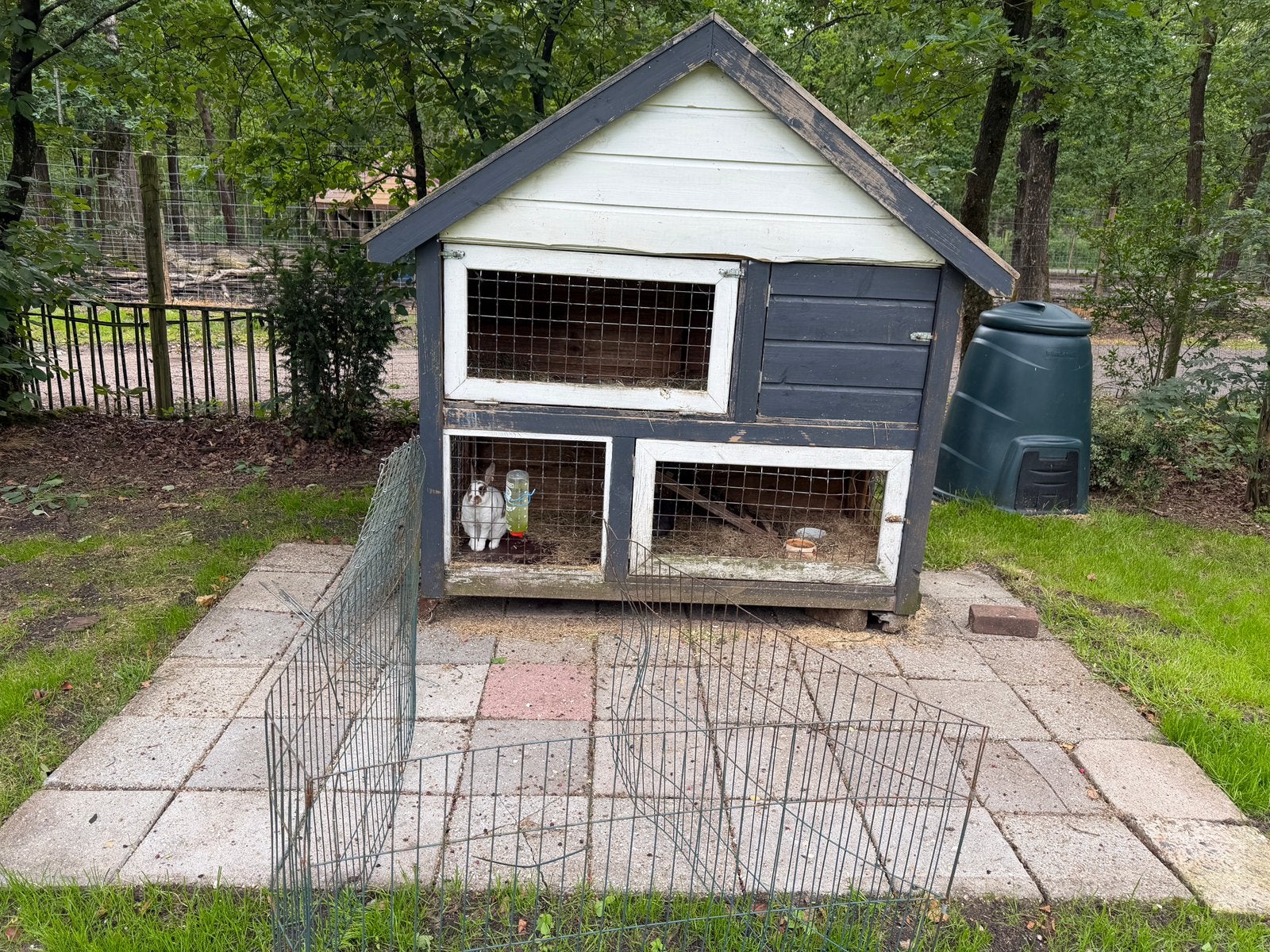 Koppeltje konijnen incl. Hok, Dieren en Toebehoren, Konijnen, Meerdere dieren, Klein, 0 tot 2 jaar