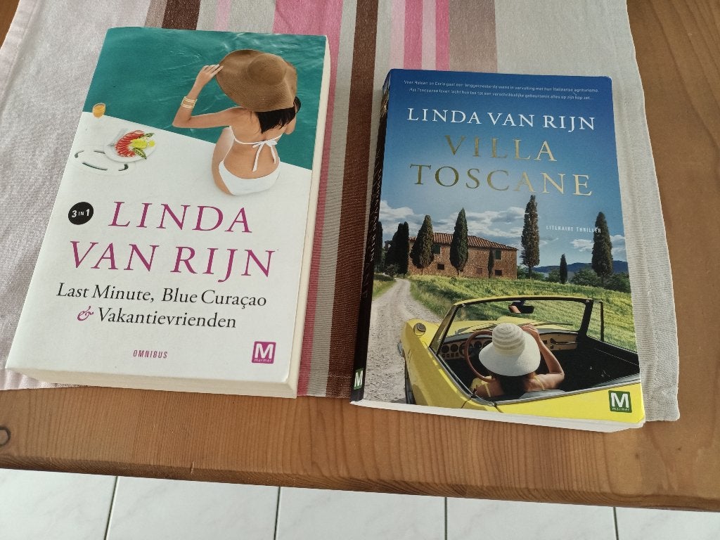 linda van rijn , 2 boeken, Ophalen of Verzenden, Gelezen, Linda van Rijn
