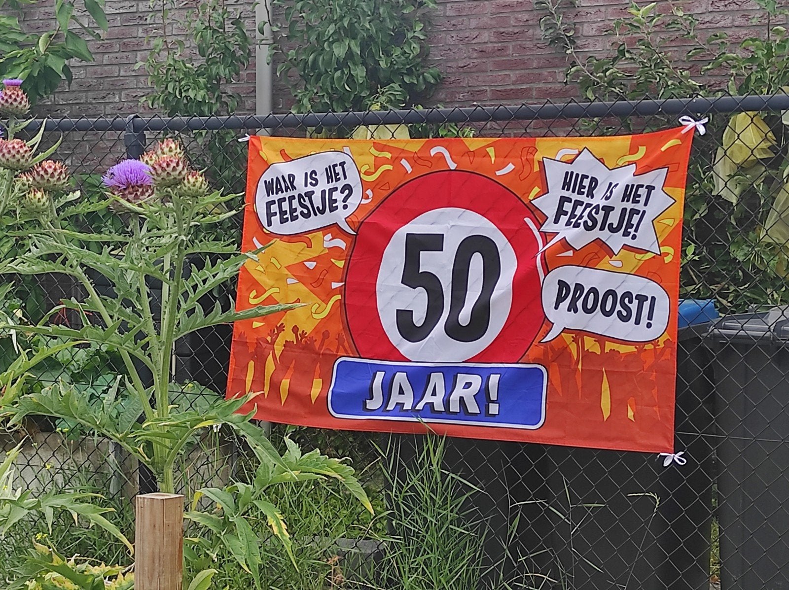 50 jaar gevel vlag, Diversen, Vlaggen en Wimpels, Ophalen of Verzenden, Zo goed als nieuw