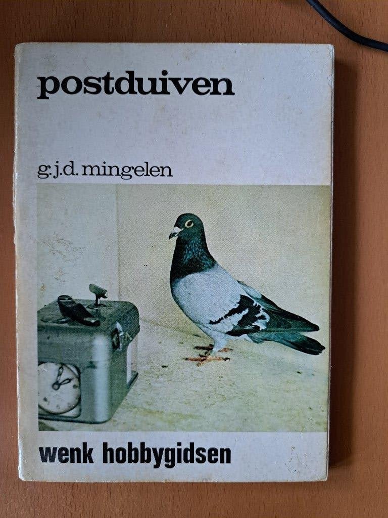 Postduiven Mingelen, Ophalen of Verzenden