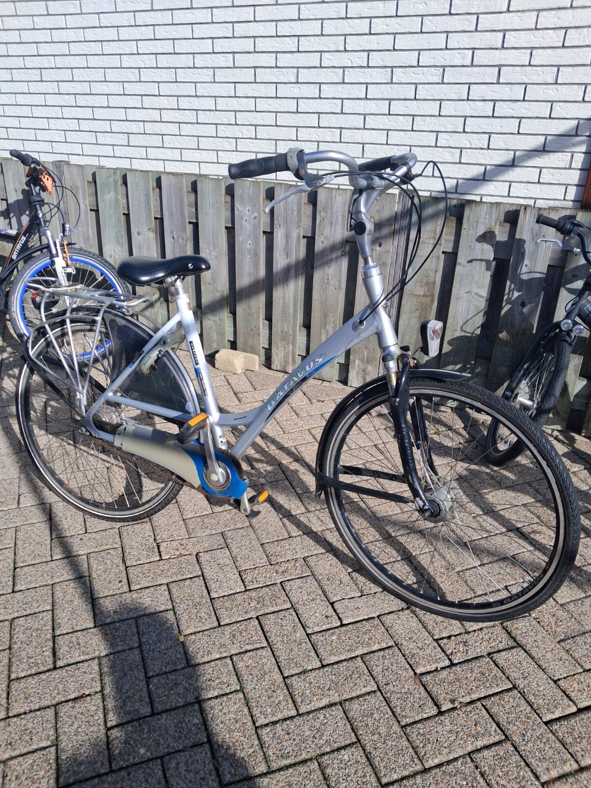 Batavus fiets - Damesfiets - Zilverkleurig, Ophalen, Velgrem, Versnellingen, Batavus