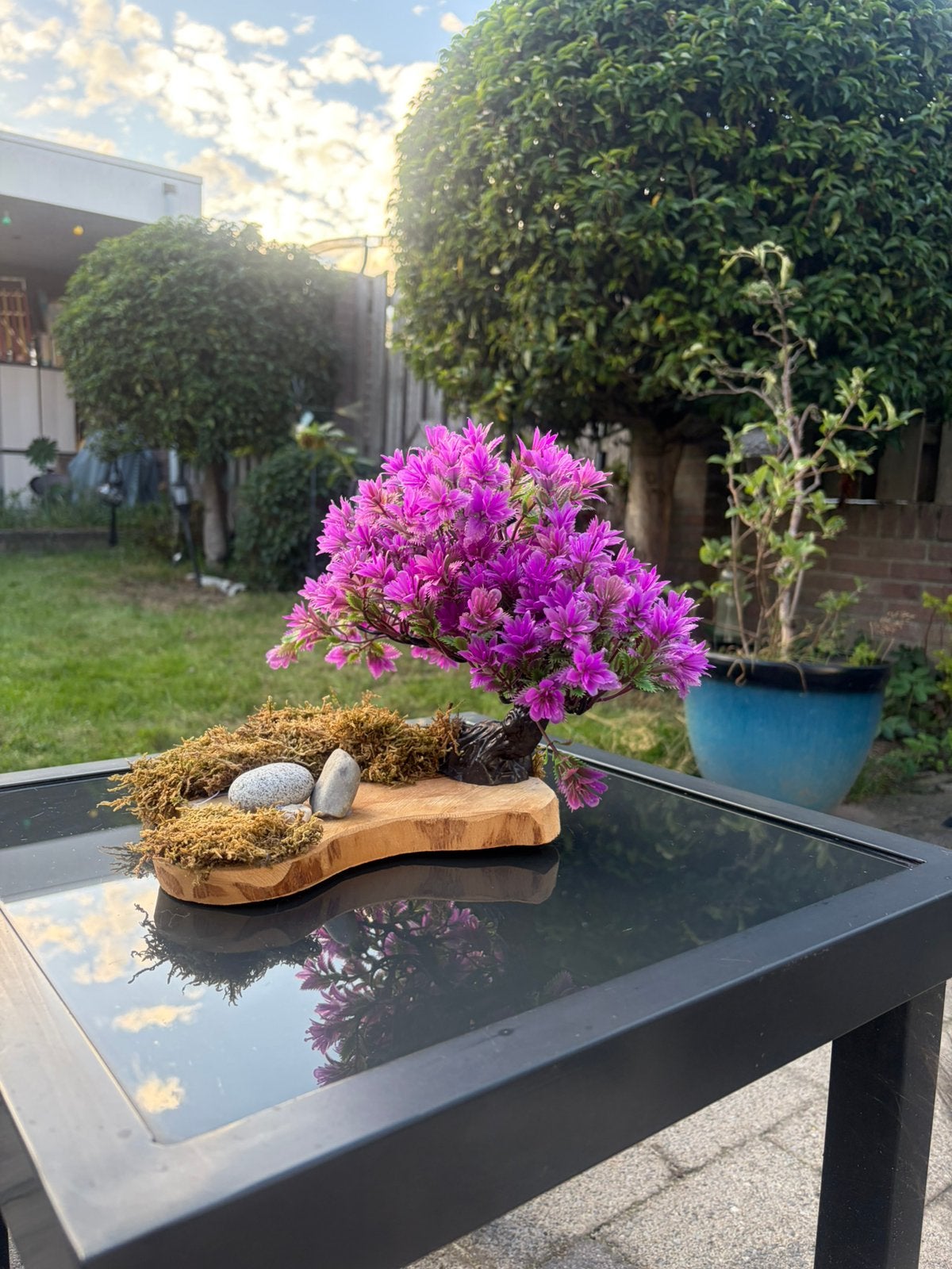 Kunststof Bonsai boompje, Ophalen of Verzenden, Bonsai, Minder dan 100 cm
