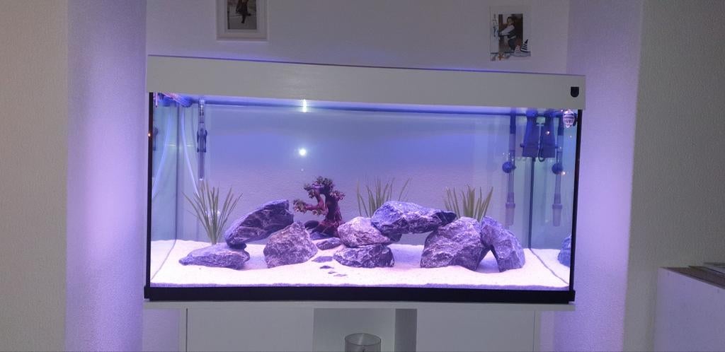 Trofis Aquarium 350L compleet met Govee Smart LED & Cichlide, Ophalen of Verzenden, Zo goed als nieuw, Gevuld zoetwateraquarium