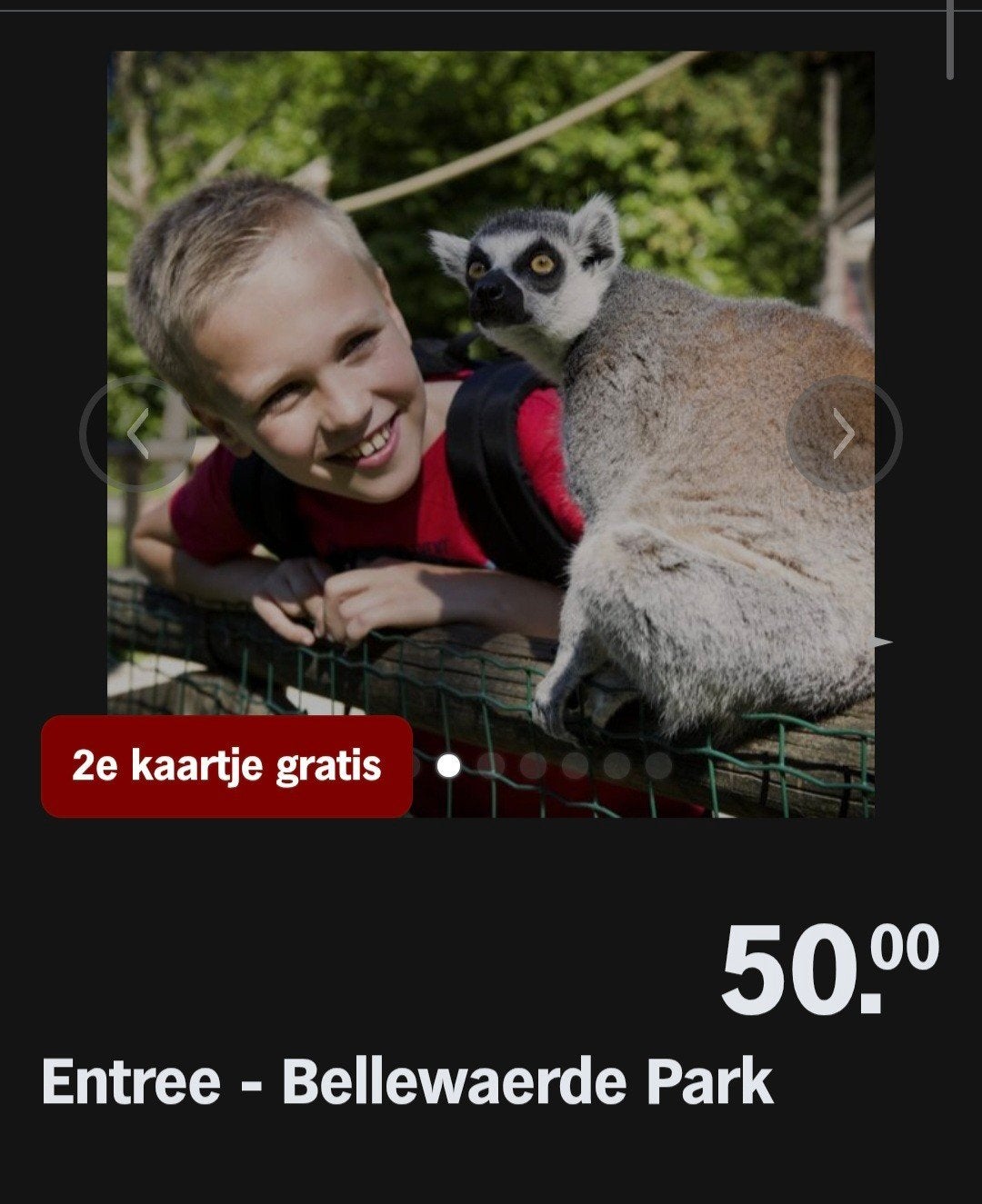 BELLEWAERDE PARK ♡ 2e kaartje gratis (AH SPAARKAARTEN), Overige soorten