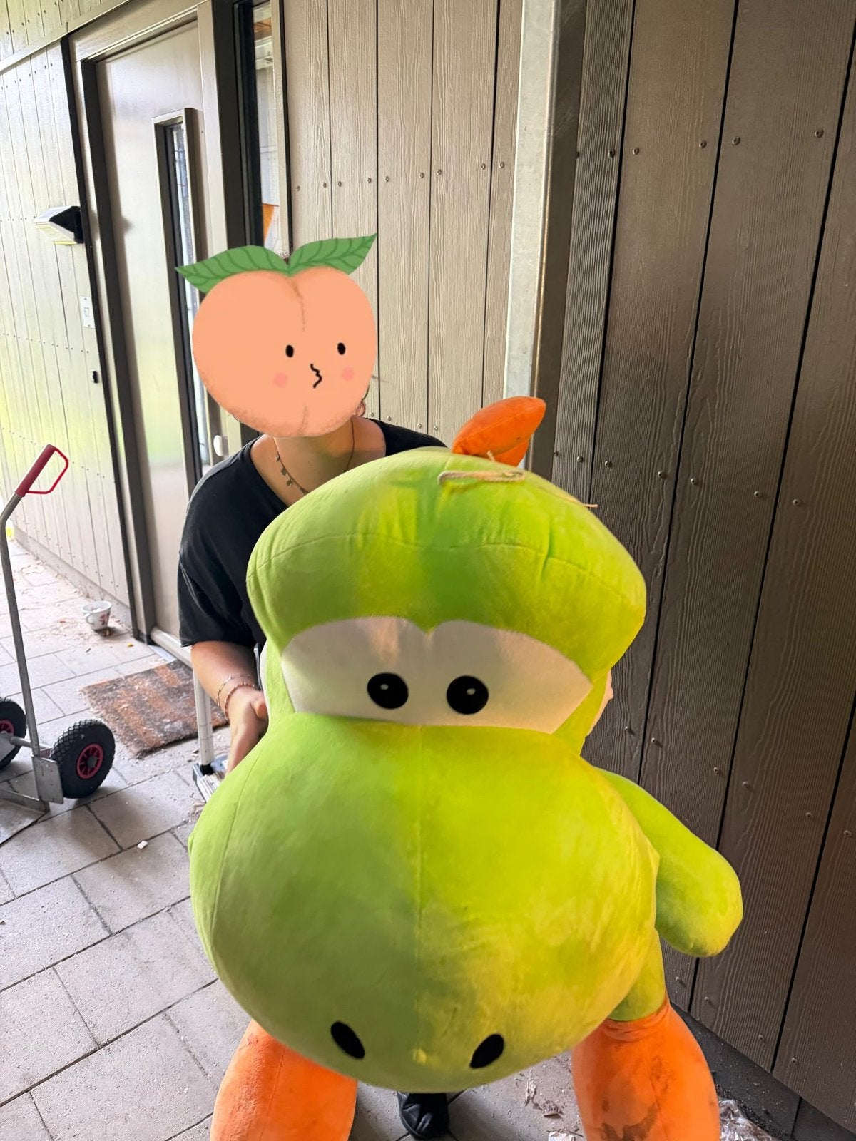 Foto 3 van Grote Yoshi knuffel - Makkelijk wasbaar!
