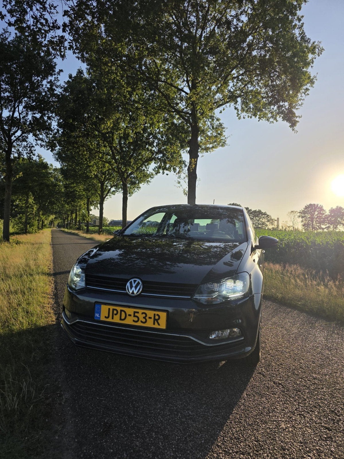 Volkswagen Polo 1.0 TSI 55KW 2015 Grijs, Auto's, Volkswagen, Particulier, Polo, Benzine, Hatchback, Handgeschakeld, Geïmporteerd