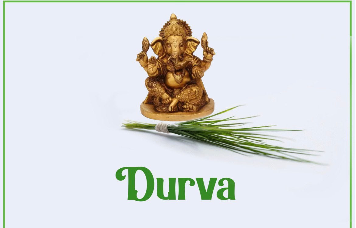 Durva gras, Ophalen of Verzenden, Siergrassen, Volle zon