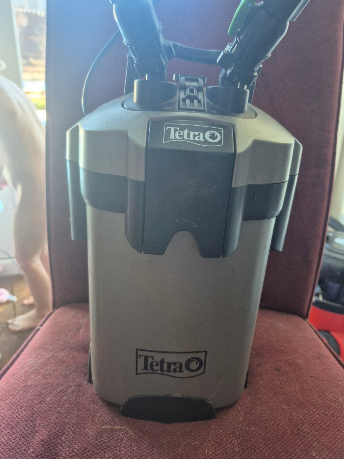 externe filterpomp 600L, Dieren en Toebehoren, Ophalen