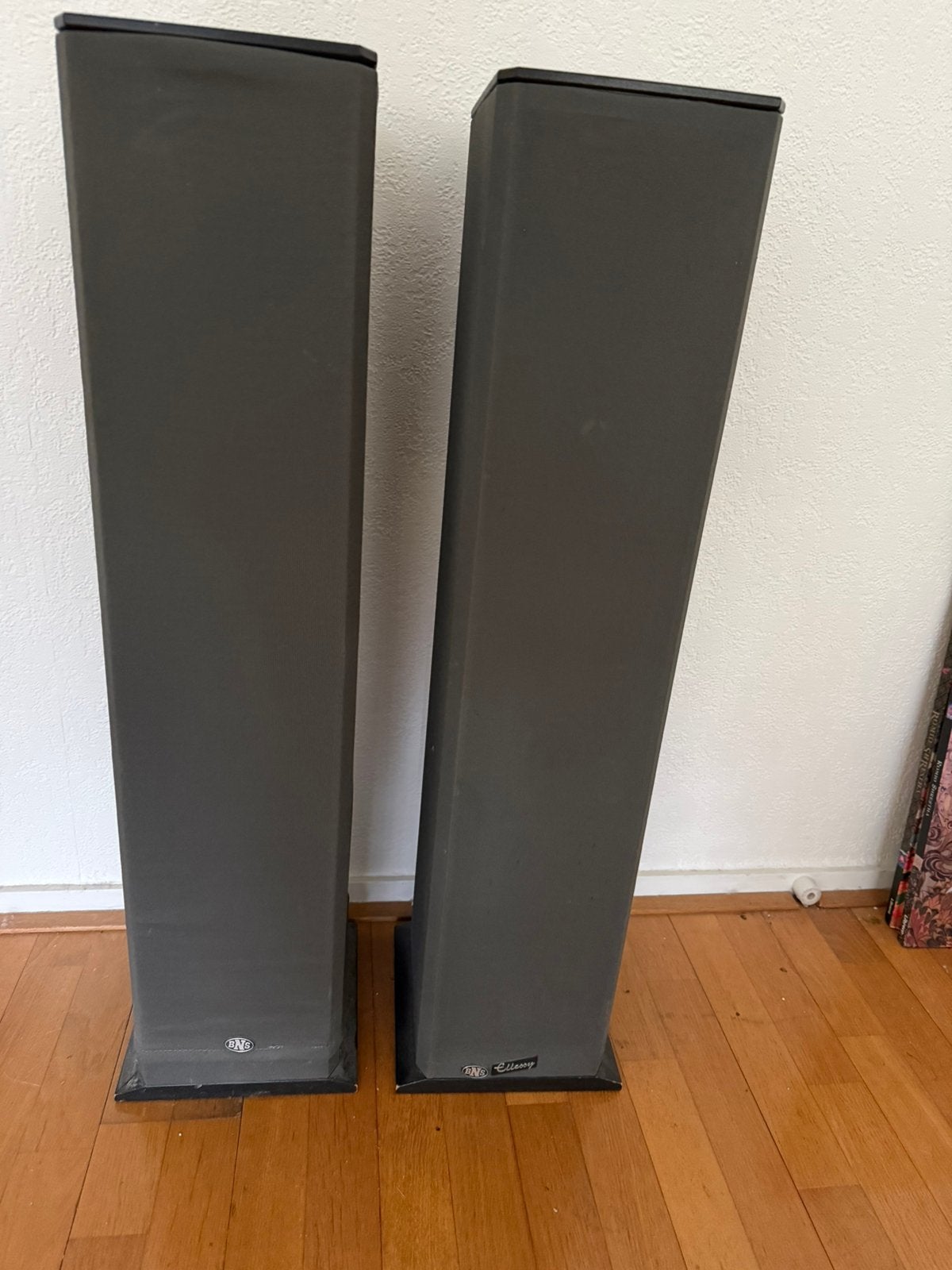 Luidsprekers Ellessy BNS Nederlands fabrikant, Audio, Tv en Foto, Ophalen, Zo goed als nieuw, 60 tot 120 watt, Overige merken
