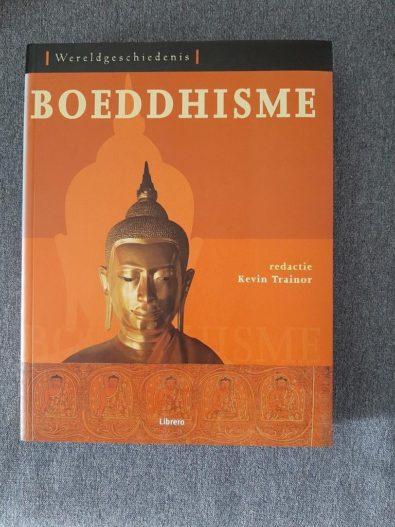 Boeddhisme: Wereldgeschiedenis - Kevin Trainor, Boeken, Achtergrond en Informatie, Spiritualiteit algemeen, Ophalen of Verzenden