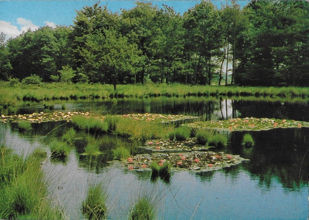 Drenthe Gelopen Ansichtkaart ( A382 ), Ophalen of Verzenden, 1980 tot heden, Gelopen, Drenthe