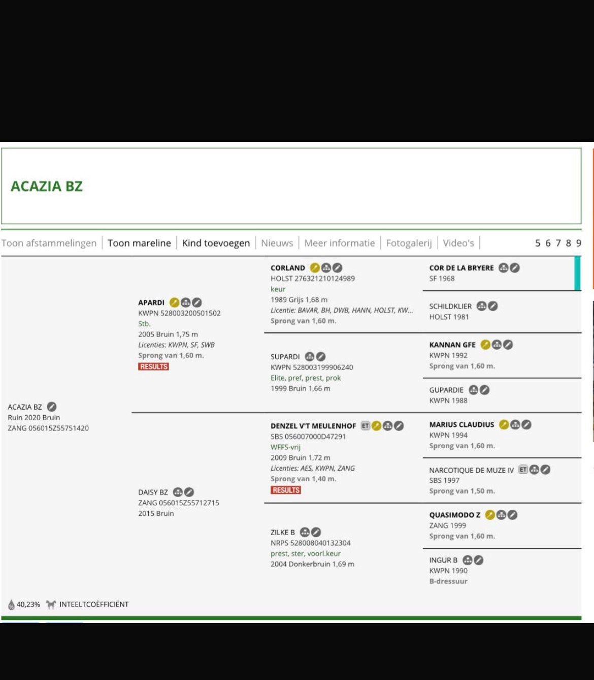 Top braaf 6 jarige springpaard verkocht, Dieren en Toebehoren, Ruin, 165 tot 170 cm, Springpaard, 3 tot 6 jaar