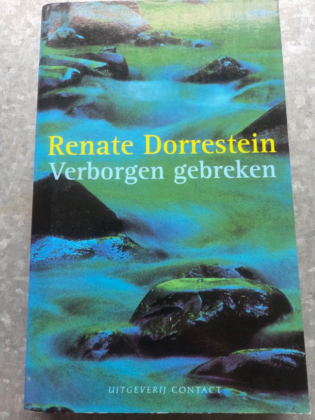 Renate Dorrestein - Verborgen gebreken, Ophalen of Verzenden, Gelezen, Renate Dorrestein, Nederland