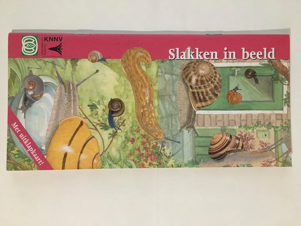 Slakken in beeld, Boeken, Ophalen of Verzenden, Nieuw, Natuur algemeen