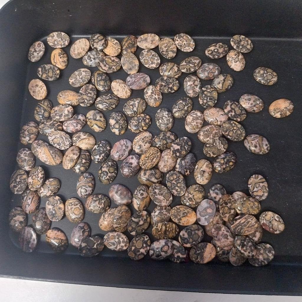 Grote partij luipaard jaspis cabochons, Ophalen of Verzenden, Nieuw