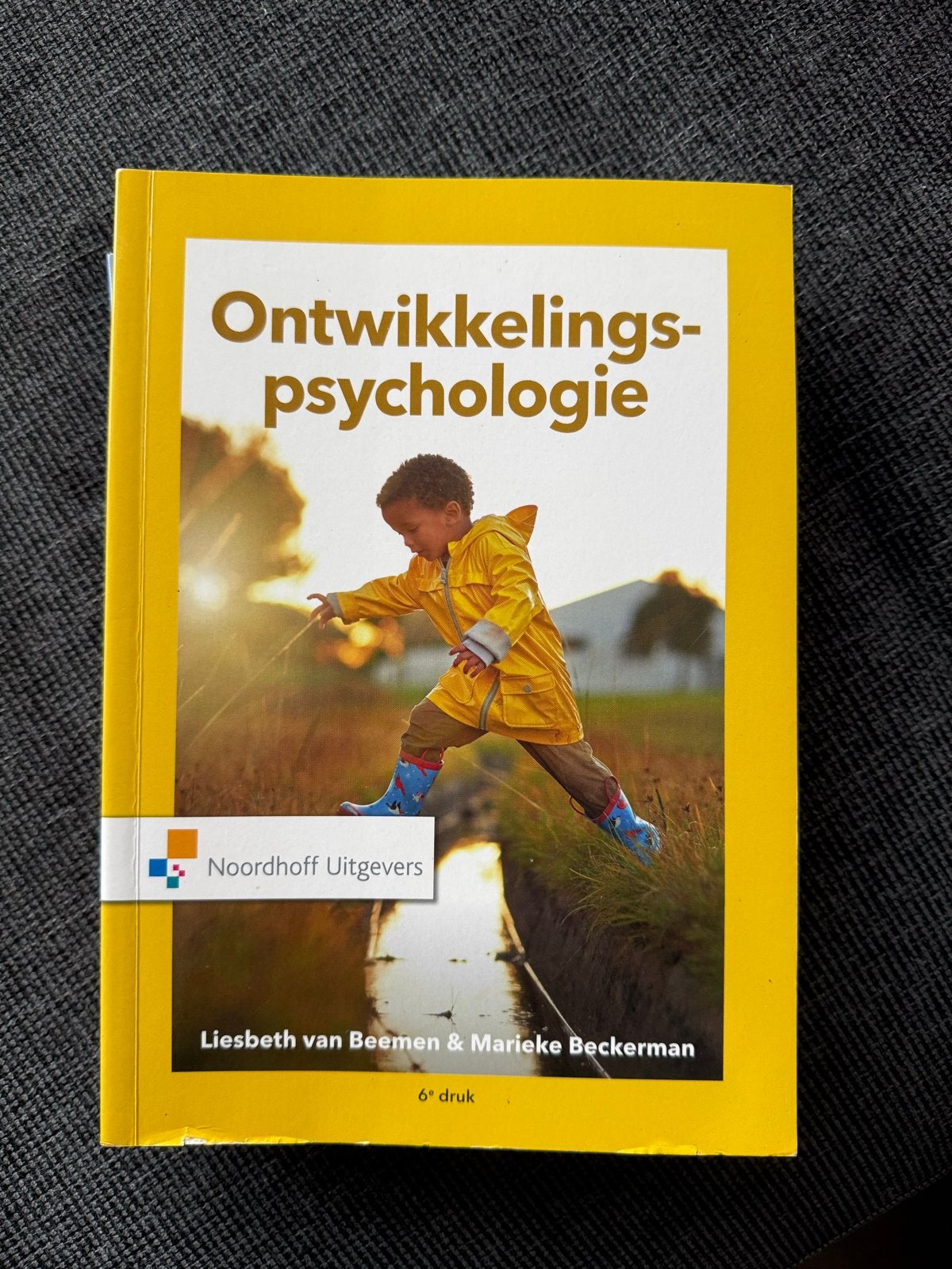 Ontwikkelingspsychologie - Liesbeth van Beemen & Marieke Bec, Ophalen of Verzenden, Zo goed als nieuw, Ontwikkelingspsychologie