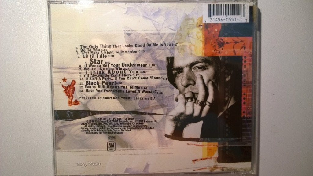 Bryan Adams - 18 Til I Die, Ophalen of Verzenden, Zo goed als nieuw, Poprock, Album