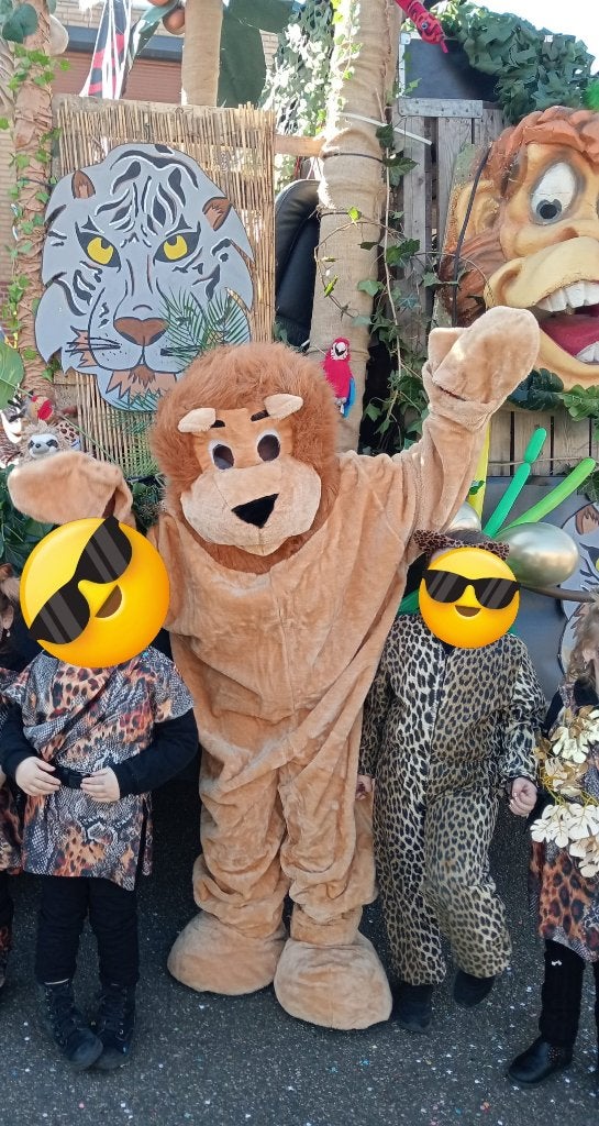 Mascotte pakken, hoofdtooien, hoedjes, camouflage netten, Ophalen, Kostuum, Zo goed als nieuw, Carnaval