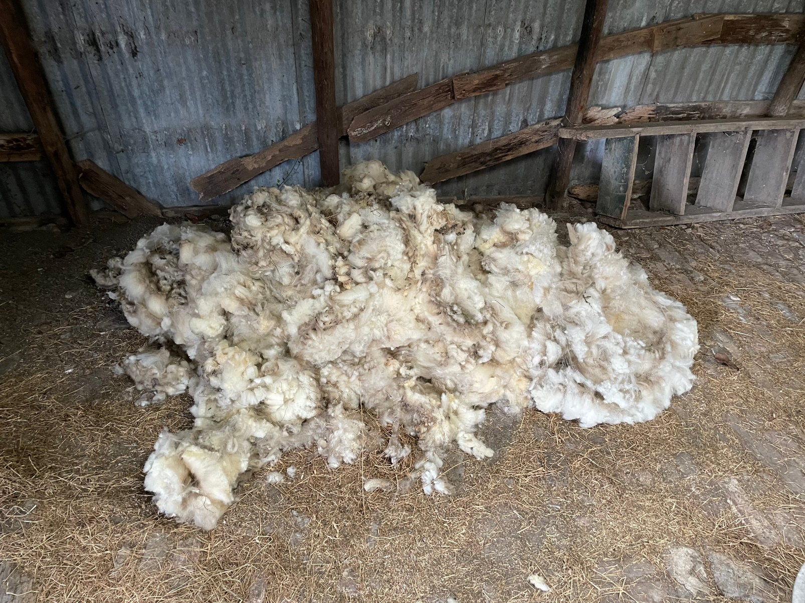 3 vachten schapenwol 5 eur per vacht, Ophalen, Spinwol