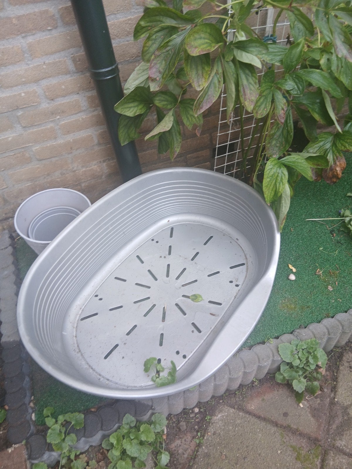 grote hondenmand, Ophalen