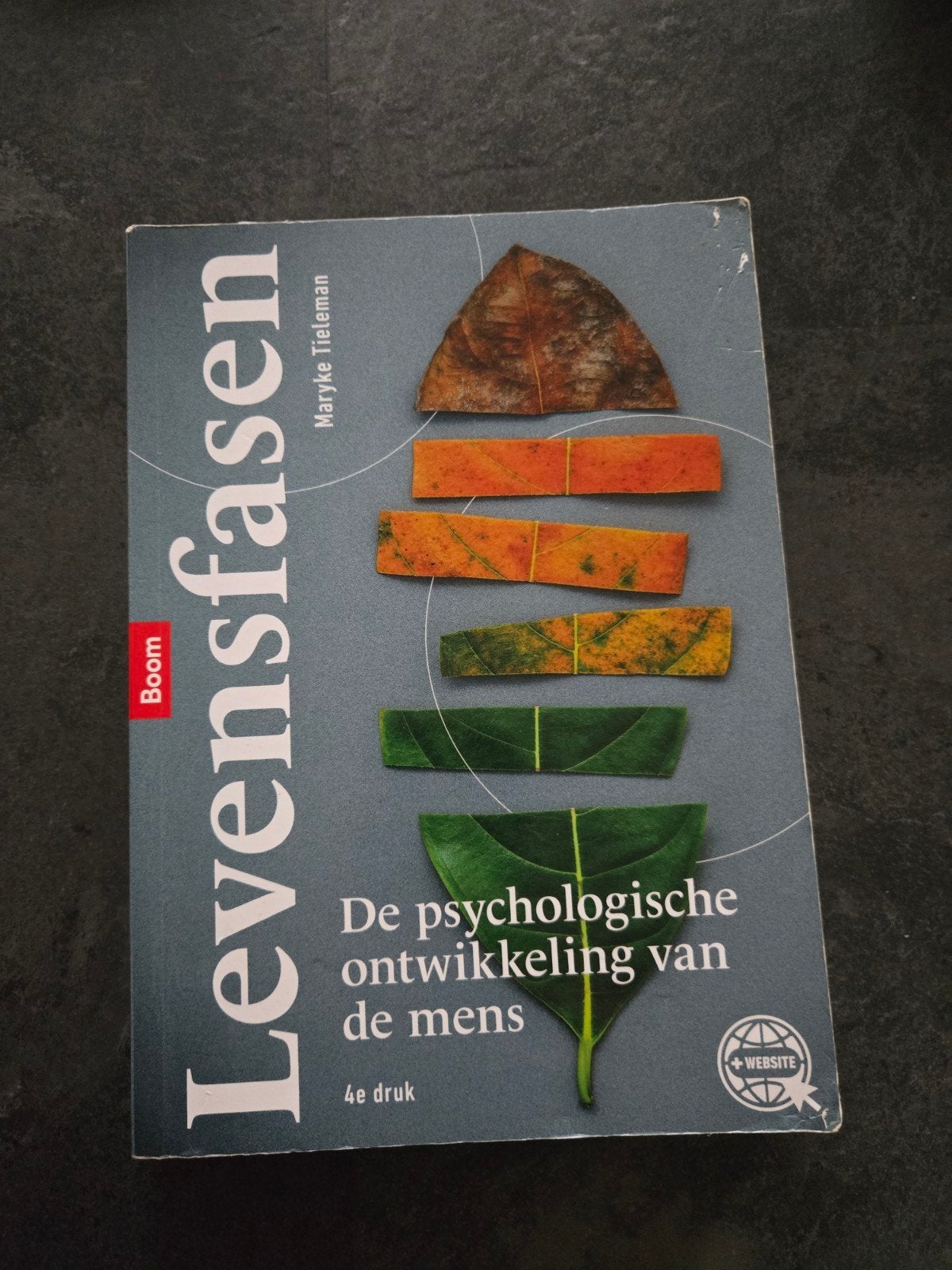 Mayke Tieleman - Levensfasen, Mayke Tieleman, Ophalen of Verzenden, Zo goed als nieuw, Nederlands