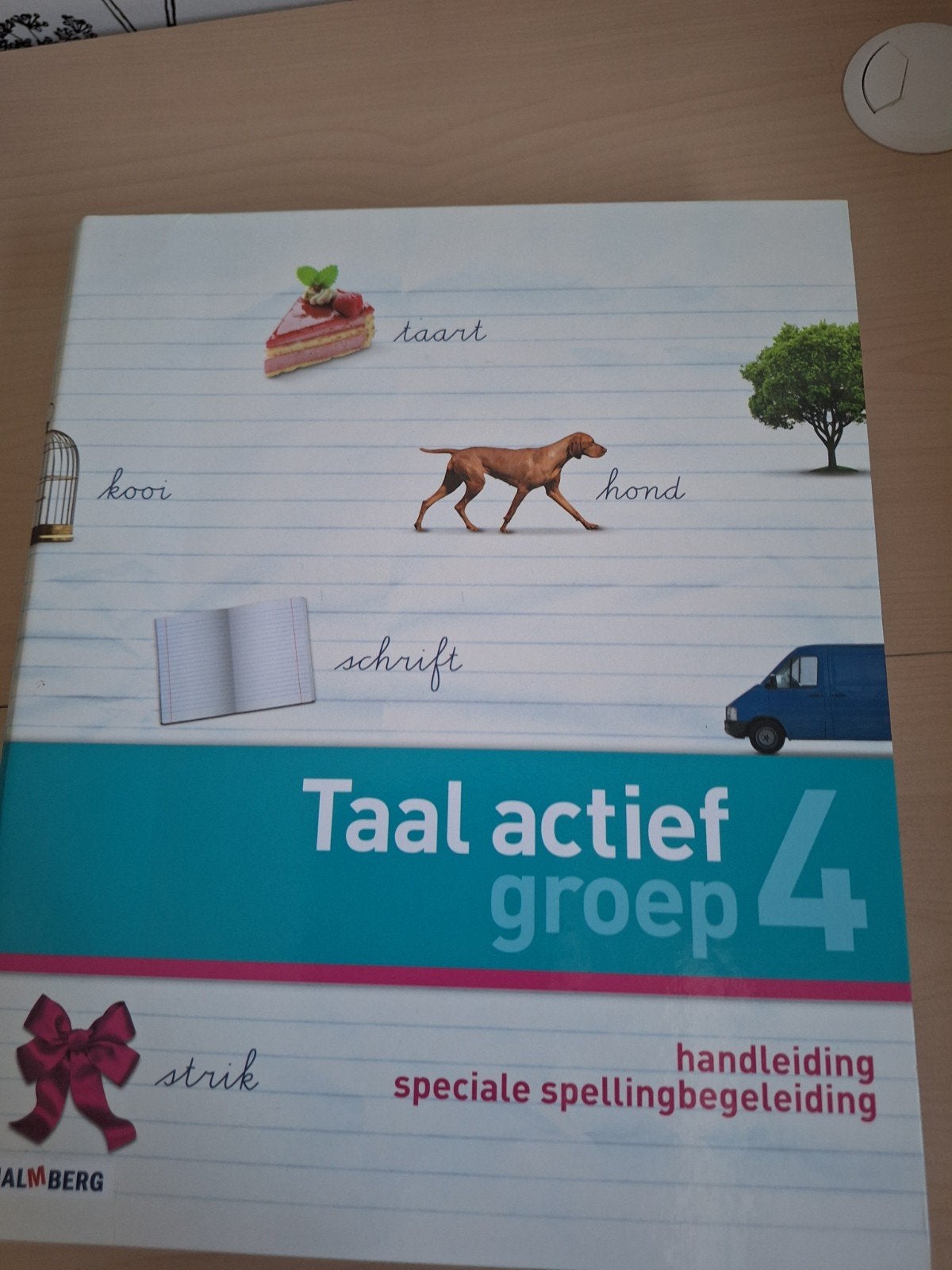 Taal actief groep 4 handleiding speciale spellingbegeleiding, Ophalen of Verzenden, Zo goed als nieuw, Overige niveaus, Nederlands