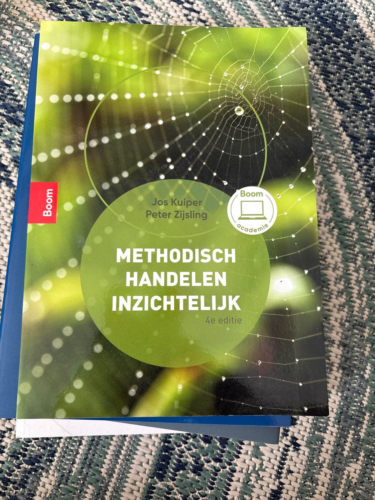 Methodisch Handelen Inzichtelijk - 4e editie, Boeken, Ophalen of Verzenden, Gamma, Zo goed als nieuw, HBO