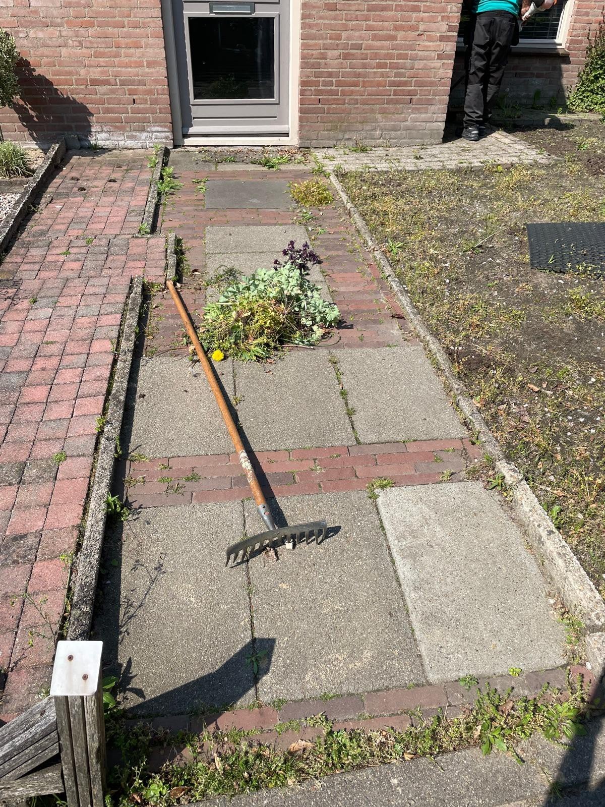 25+ Jaar Vakmanschap | Tuin, Bestrating & Schilderwerk., Variabele uren, HBO, Vanaf 10 jaar, Overige vormen