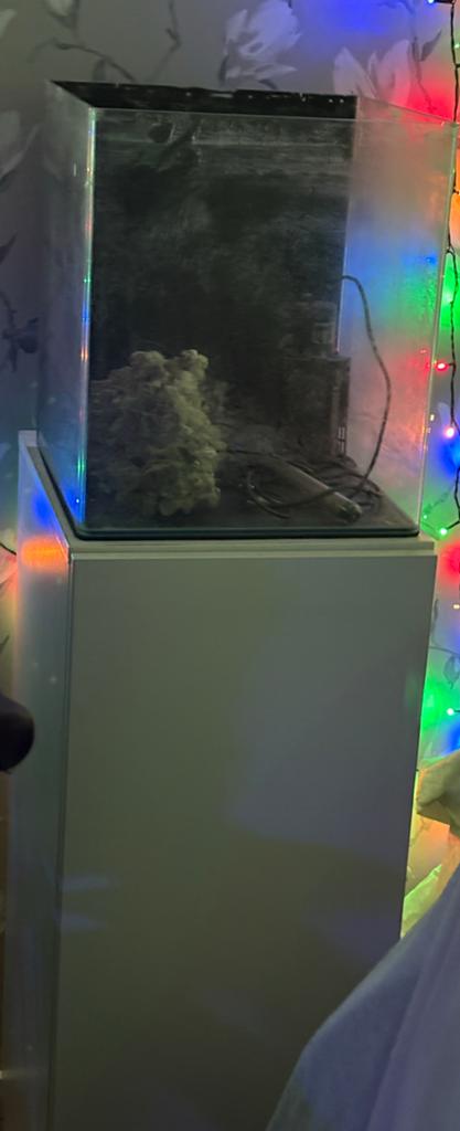 Nano 60 aquarium met meubel, Ophalen, Zo goed als nieuw, Leeg aquarium