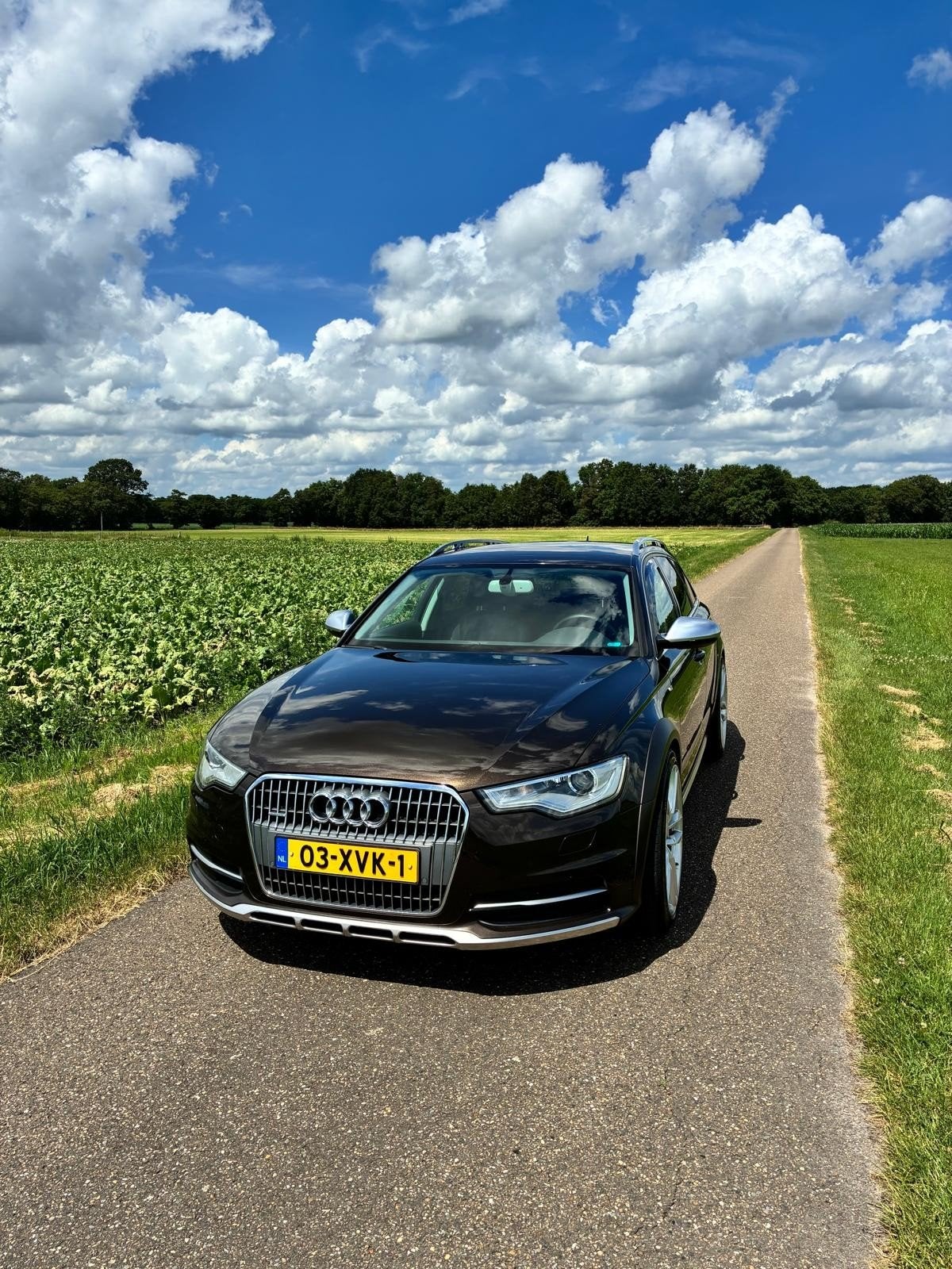 Audi A6 Allroad Quattro 3.0 V6 Automaat | Trekhaak | Luchtve, Auto's, Automaat, Bruin, 2500 kg, Stationwagon